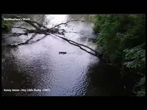 Sonny James - Hey Little Ducky (1961)