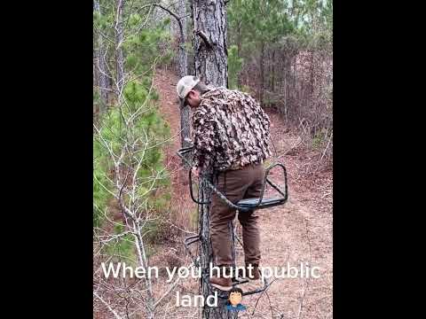 This is why I don't hunt public land.