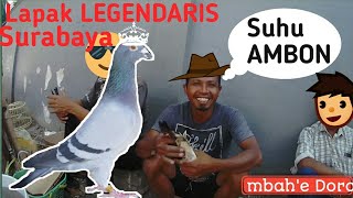 Download lagu Lapak ranji LEGENDARIS.. Merpati Kentong!!!! mp3