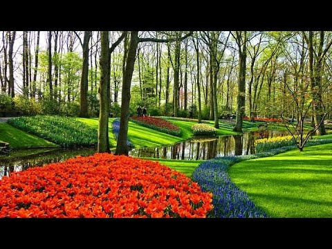 Children Bible scriptures explanation, shama isreal,  Amazing children saying scriptures