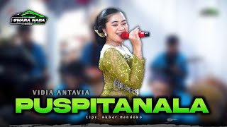 Download lagu PUSPITANALA - VIDIA ANTAVIA - SWARA NADA MUSIC - KAESAR AUDIO mp3 Download lagu PUSPITANALA - VIDIA ANTAVIA - SWARA NADA MUSIC - KAESAR AUDIO mp3