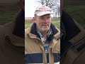 Schade aan weiland door zwijnen? Boer Henk krijgt zelf de rekening.. | RTV Oost