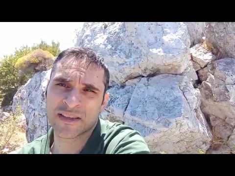 Xerxes and Complexity Leadership