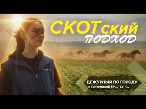 Скотский подход | ДПГ. Неделя
