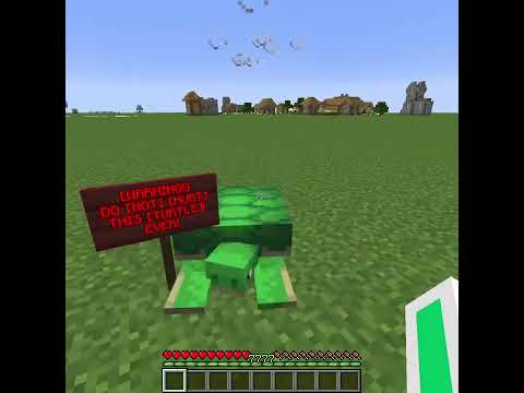 Insane Minecraft Turtle Boss Battle