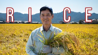Organic Japanese Rice Farmer: Full Version