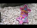 Polly Pocket Fairy Fantasy 1992 Polly Pocket Fairy Polly Pocket