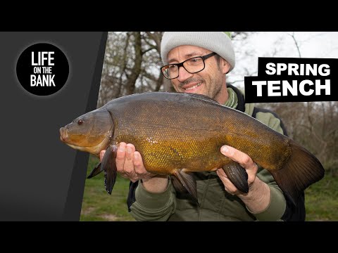 TENCH FISHING TIPS - SPRING