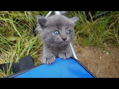 Мужчина вернулся с рыбалки с неожиданным сюрпризом