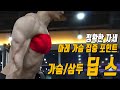 가슴운동ㅣ딥스 아래 가슴 운동 집중 포인트/바른자세(가슴/삼두 딥스)