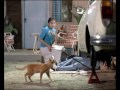 Neo Napacin Kucing 15s
