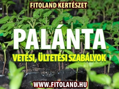 , title : 'Csíráztatás otthon - palánta vetési és ültetési tanácsok'