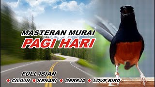 Download lagu 🔴 LIVE 19 - Masteran Murai Batu Pagi Hari Full Isian Tembakan kasar Murai Apapun Pasti Nyaut mp3
