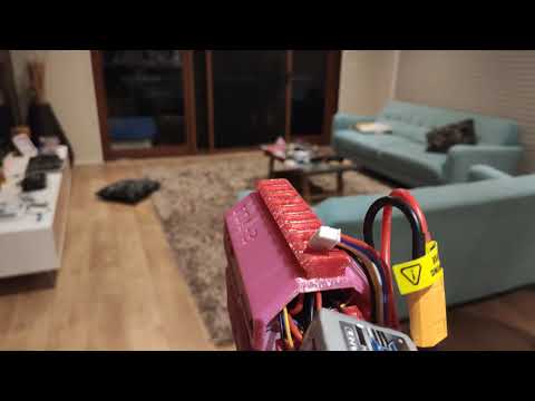 FDL3 Flyshot Demonstration - Response