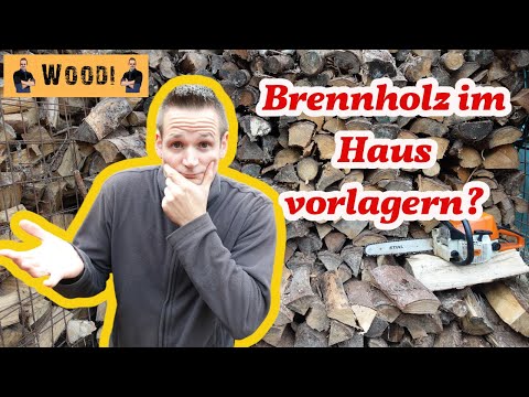Brennholz im Haus lagern? Sinnvoll? Woodi