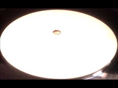 Old Skool 4/4 - DJ Veteran ‎–  Making Me High