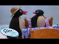 Pingu and Pinga Don't Want to Go to Bed | Pingu Official | 1 Hour | Cartoons for Kids