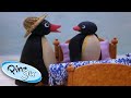 Pingu And Pinga Don T Want To Go To Bed Pingu Official 1 Hour Cartoons For Kids