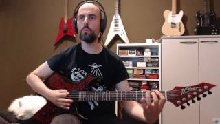 #18 Wormrot - Shallow Standards (Guitar Cover)