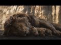 Lion King The Death Of Mufasa