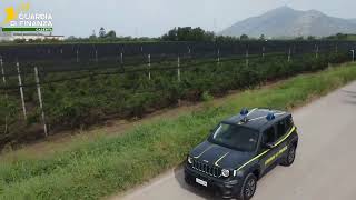 truffa-sui-fondi-agricoli-12-arresti-sequestrati-beni-per-9-6-milioni