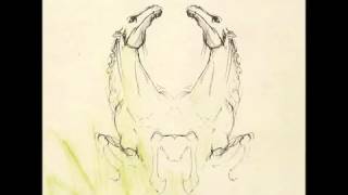 My Brightest Diamond - Dragonfly Murcof Remix