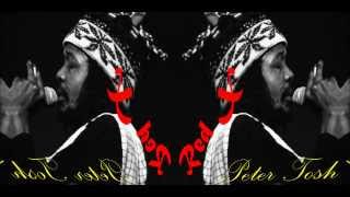 Peter Tosh-Fools Die