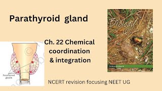 Parathyroid gland Class 11 Ch. 22 Chemical coordination & integration