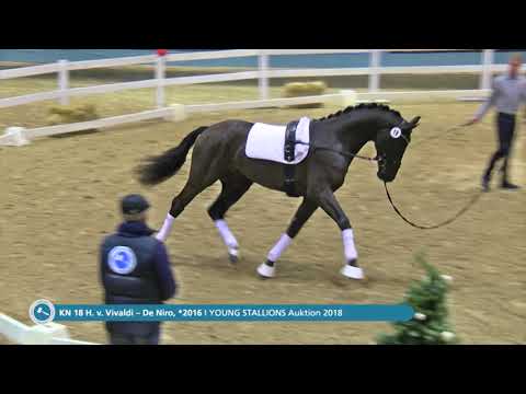 KN 18 v. Vivaldi / De Niro - Longe