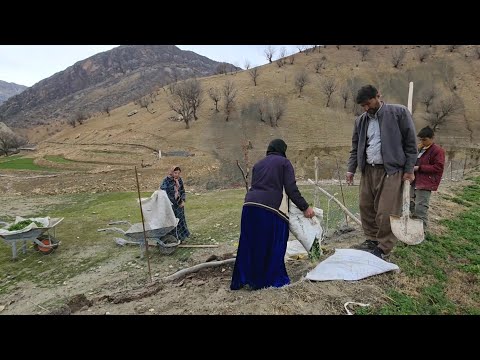 Carrying fertilizer from the village to the farm with family cooperation in difficult conditions