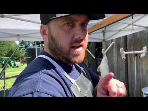 How to Butcher a Rabbit: The Pro Method - Quick & Easy Step-by-Step Guide