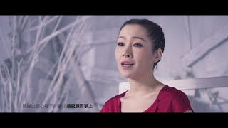 總有一天 MV - 關心妍