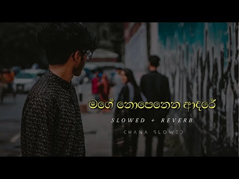 Mage Nopenena Adare | Slowed & Reverb | Chana Slowed ❤️