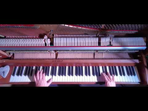 88 KEYS TO BLUES - Nico Brina pianoblues