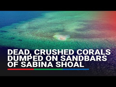 Dead, crushed corals dumped on sandbars of Sabina Shoal