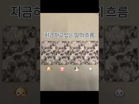 🌼내 직업의 앞으로 흐름🌼고민이 되는 시기 다니쌤과 함께 이야기해보아요 #다니쌤 #무료운세 #운세보기 #직업운 #타로운세