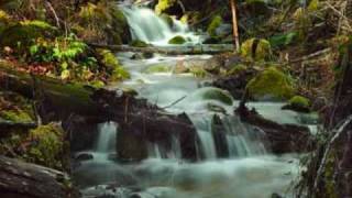 Blues For Salvador Santana