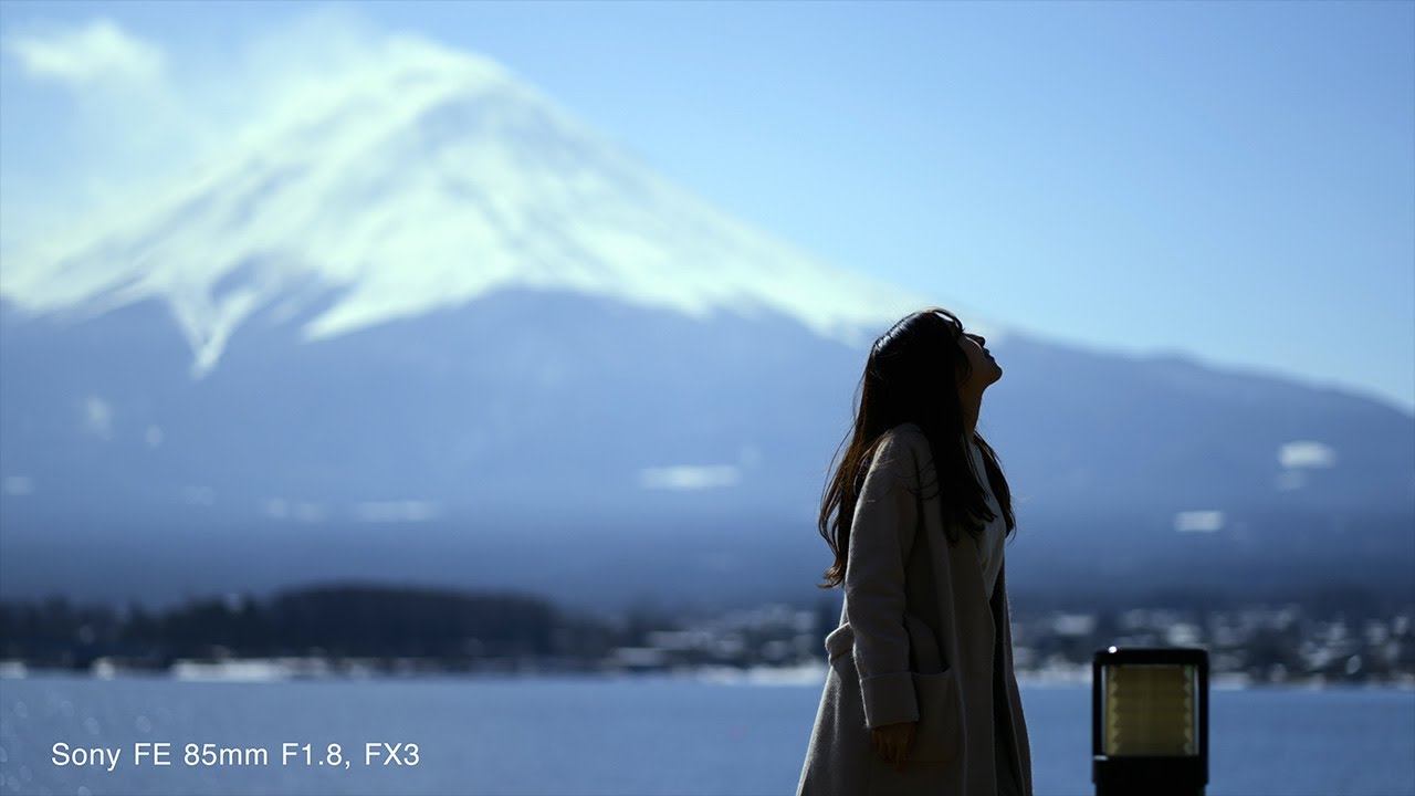 α FE 85mm F1.8 動画サンプル【ソニー公式】
