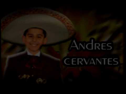Andres Cervantes - Violin - Mariachi Ameca