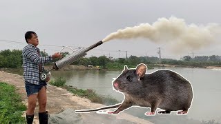 Rat Trap, smoking out rats of the hole