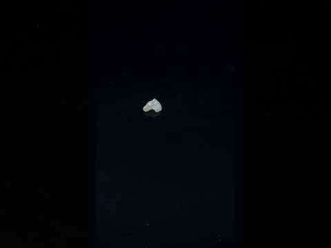 YouTube 썸네일