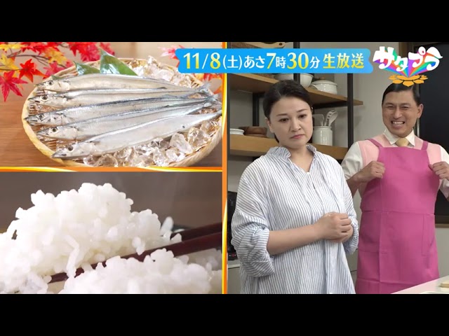 サタプラ【試してウインナー★「東京駅」最強グルメ駅弁★秋食材に意外な落とし穴】🈑