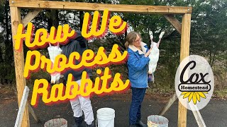 How Cox Homestead Processes Rabits | Humane dispatch of rabbits | East Tennessee Meat Rabbits