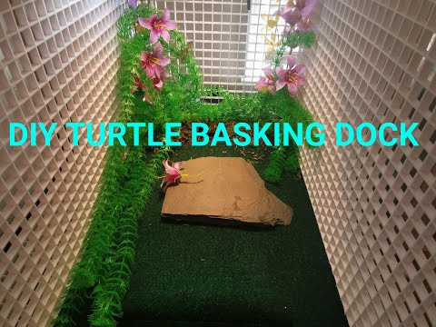 DIY TURTLE BASKING DOCK