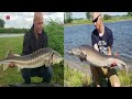 In Luttelgeest kun je indoor op forel vissen