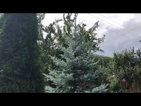 Vila Lila - IZVERNA - Mehedinți