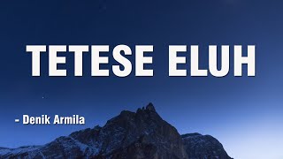 Download lagu TETESE ELUH - Denik Armila || Akustik Cover || Lirik Video mp3