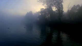 Rebecca Clarke - I´ll bid my heart be still