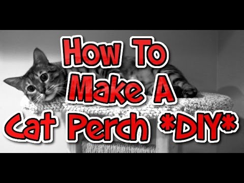 Purrfect Diy Projects For Cat Owners