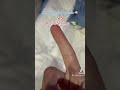 Mantis Shrimp vs Pistol Shrimp